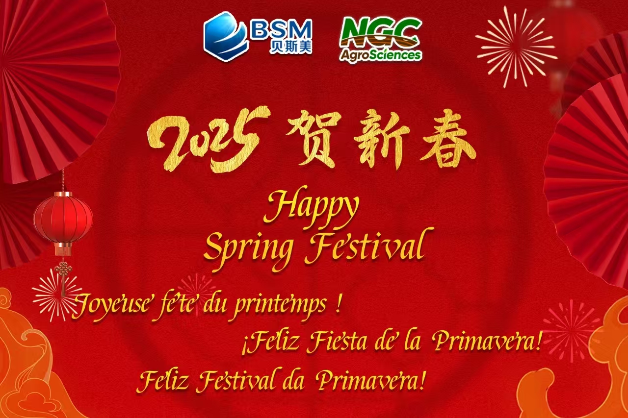Happy Spring Festival